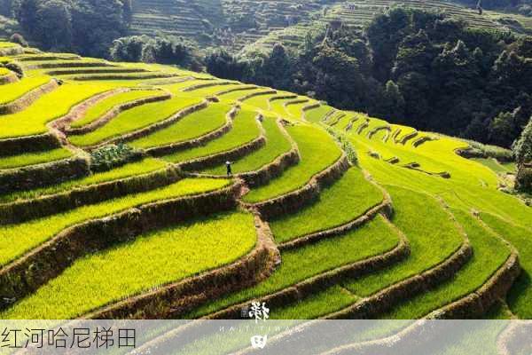 红河哈尼梯田