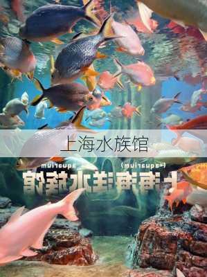 上海水族馆