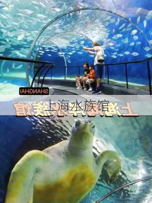 上海水族馆