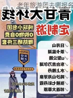 老年旅游团去哪报名