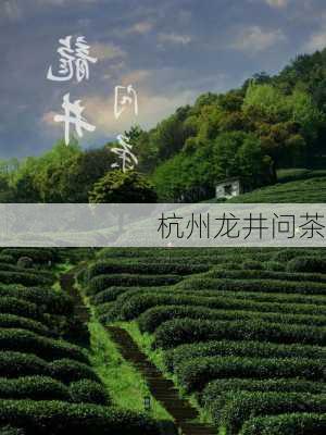 杭州龙井问茶