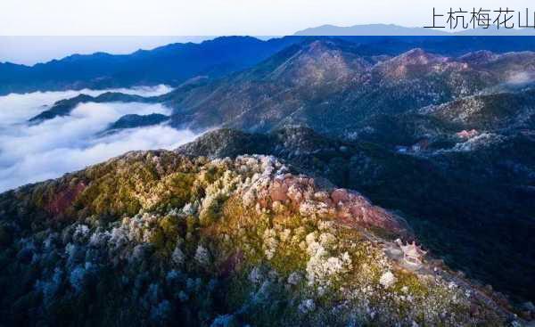 上杭梅花山