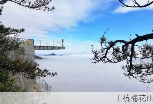 上杭梅花山