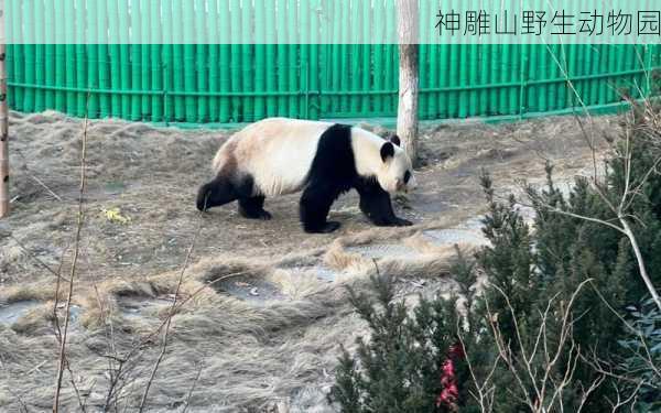 神雕山野生动物园