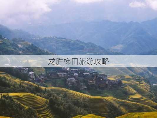 龙胜梯田旅游攻略