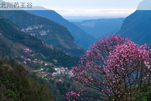 北川药王谷