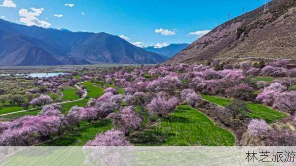 林芝旅游