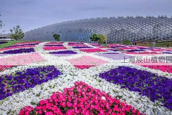 上海辰山植物园