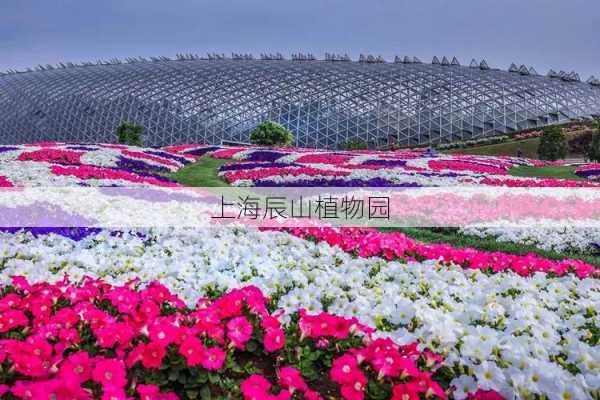 上海辰山植物园