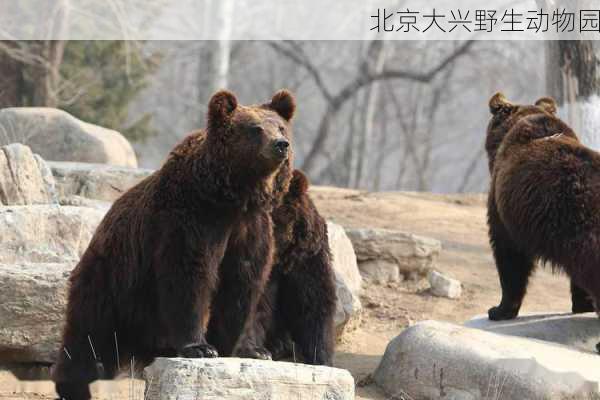 北京大兴野生动物园