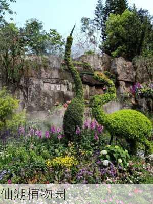 仙湖植物园