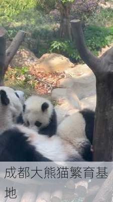 成都大熊猫繁育基地