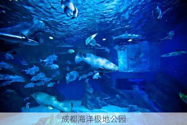 成都海洋极地公园