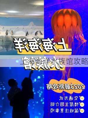 上海海洋水族馆攻略