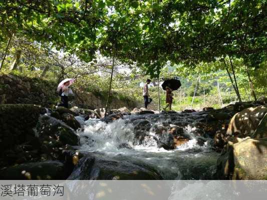 溪塔葡萄沟