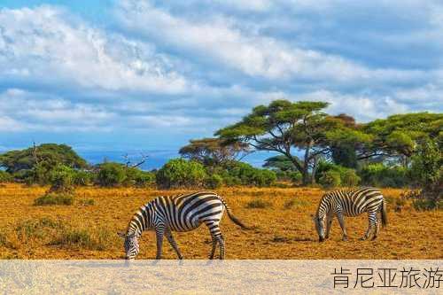 肯尼亚旅游