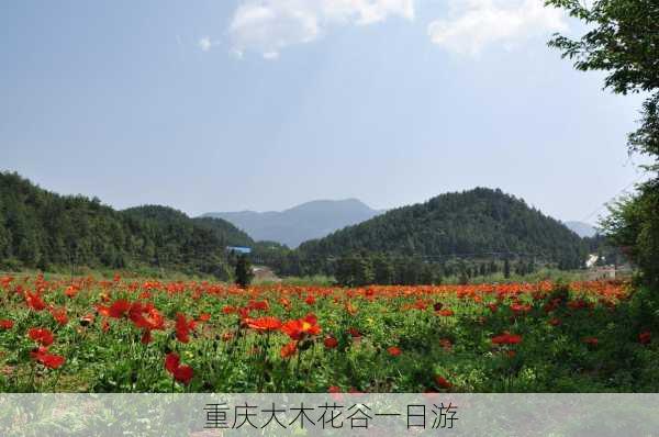 重庆大木花谷一日游