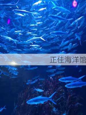 正佳海洋馆