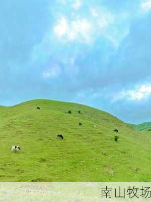 南山牧场