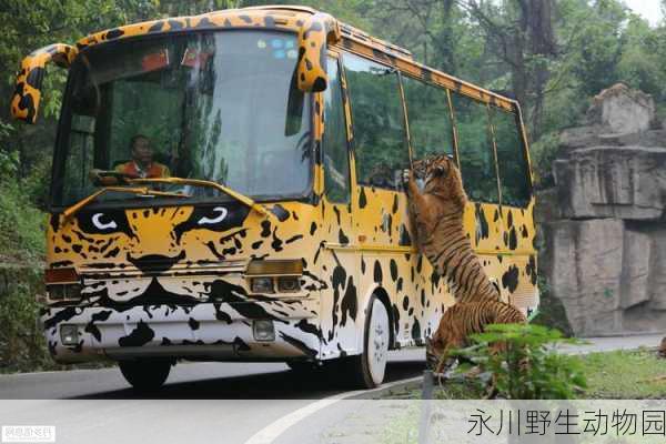 永川野生动物园