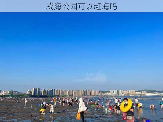 威海公园可以赶海吗