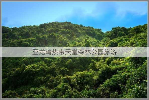 亚龙湾热带天堂森林公园旅游