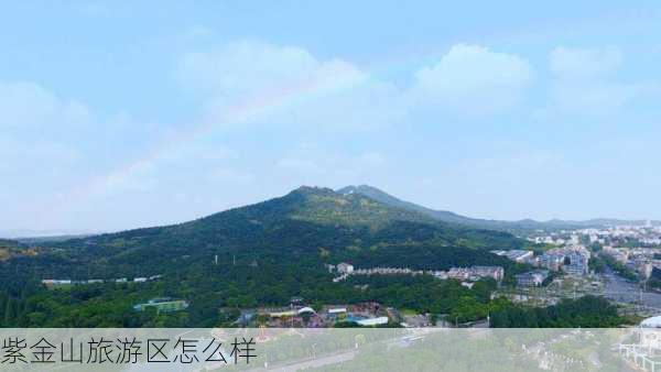 紫金山旅游区怎么样