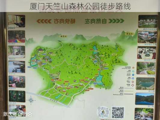 厦门天竺山森林公园徒步路线