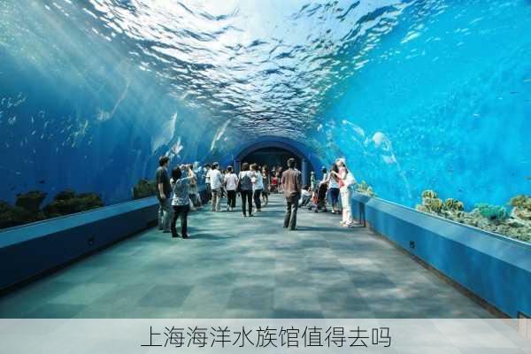 上海海洋水族馆值得去吗