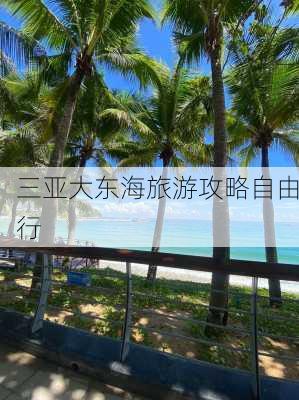 三亚大东海旅游攻略自由行