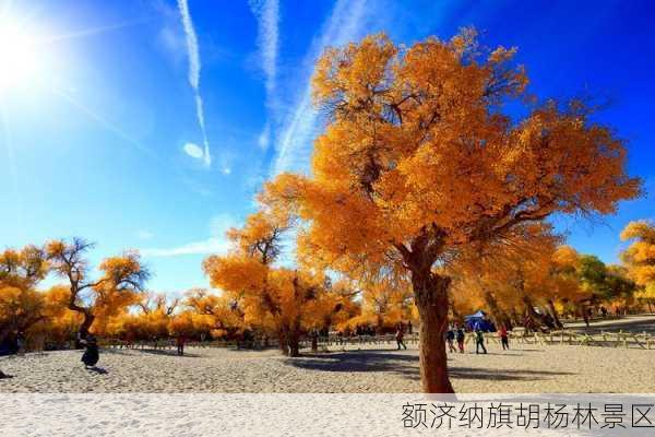 额济纳旗胡杨林景区