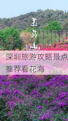 深圳旅游攻略景点推荐看花海