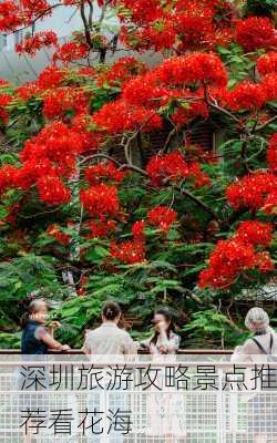 深圳旅游攻略景点推荐看花海