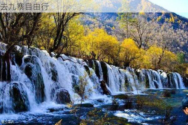 去九寨自由行