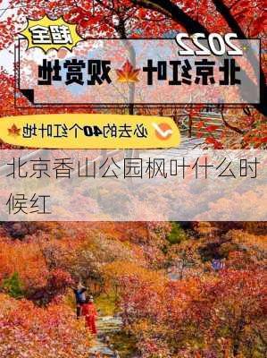 北京香山公园枫叶什么时候红