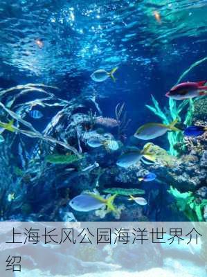 上海长风公园海洋世界介绍