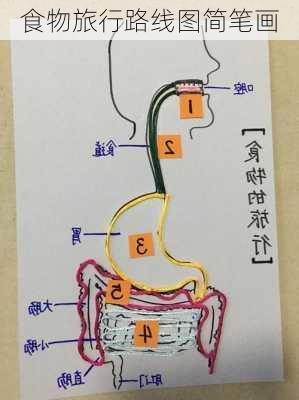 食物旅行路线图简笔画