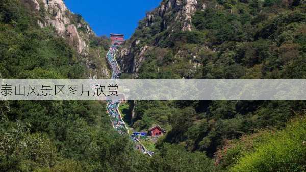 泰山风景区图片欣赏