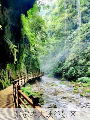 张家界大峡谷景区