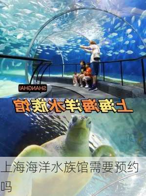 上海海洋水族馆需要预约吗