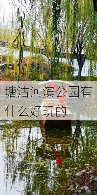 塘沽河滨公园有什么好玩的