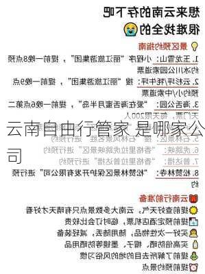 云南自由行管家 是哪家公司