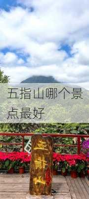 五指山哪个景点最好