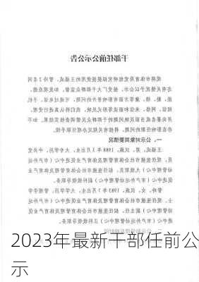 2023年最新干部任前公示